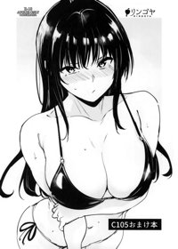 C105 おまけ本